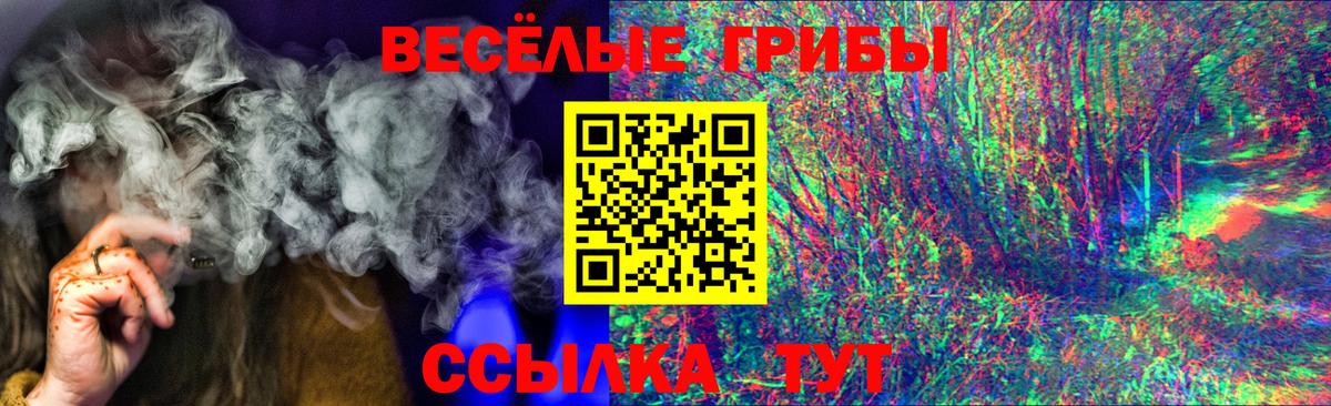 Галлюциногенные грибы мухоморы Звенигород