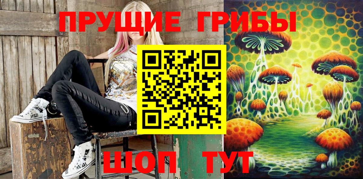 Галлюциногенные грибы Cubensis  Вход с VPN  Звенигород 